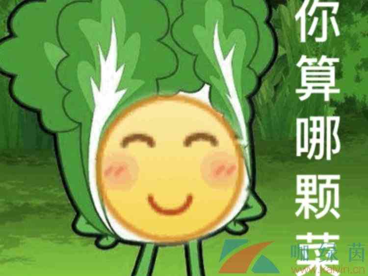 网络用语小趴菜梗的意思介绍