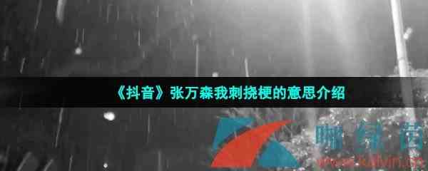 《抖音》张万森我刺挠梗的意思介绍