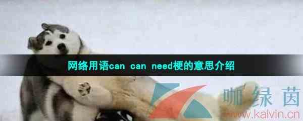 网络用语can can need梗的意思介绍