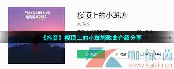 《抖音》楼顶上的小斑鸠歌曲介绍分享