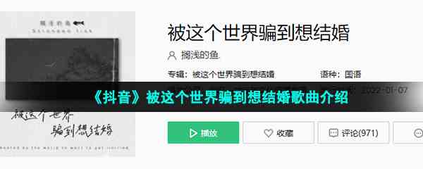 《抖音》被这个世界骗到想结婚歌曲介绍