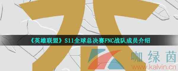 《英雄联盟》S11全球总决赛FNC战队成员介绍