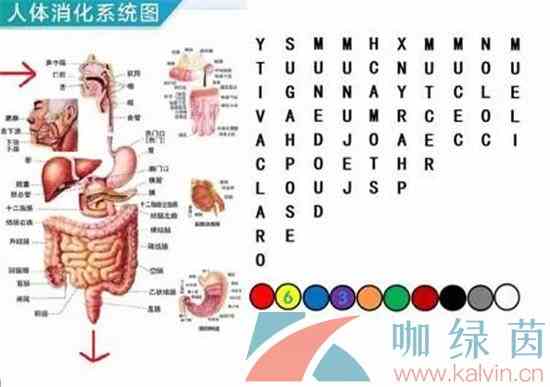 《Crimaster犯罪大师》八月赛季竞技场密室逃脱答案解析