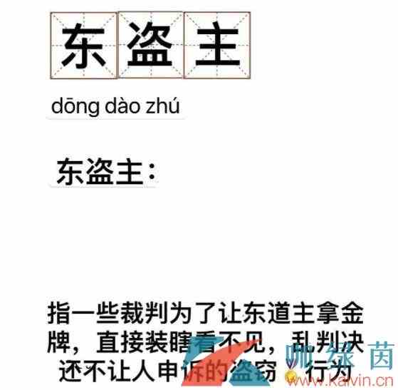 网络用语东盗主意思介绍