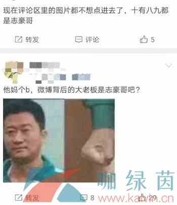 《微博》志豪哥梗的含义及出处介绍