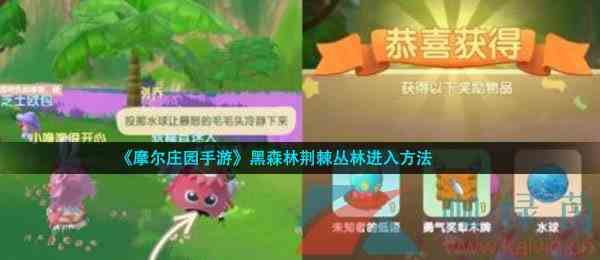 《摩尔庄园手游》黑森林荆棘丛林进入方法