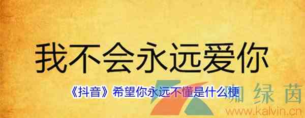 《抖音》希望你永远不懂是什么梗