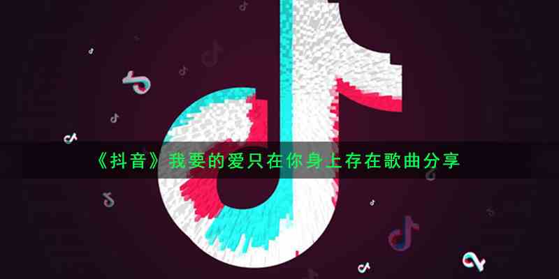 《抖音》我要的爱只在你身上存在歌曲分享