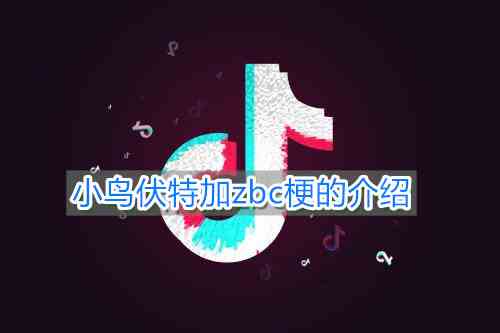 《抖音》小鸟伏特加zbc梗的介绍