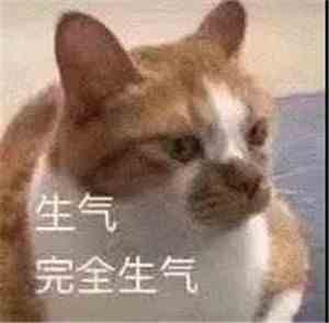 《抖音》猛男之怒表情包分享