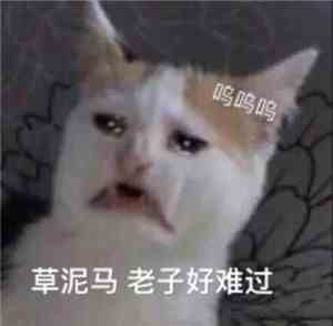 《抖音》猛男之怒表情包分享