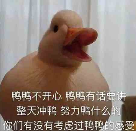 《抖音》duck不必梗介绍