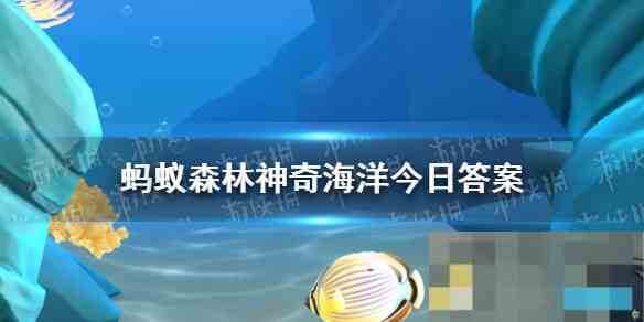 揭秘神奇海洋11月27日答案——啦啦队蟹的真面目