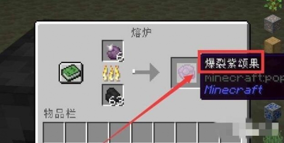 《我的世界》爆裂紫颂果有什么作用？爆裂紫颂果作用说明