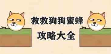 救救狗狗蜜蜂攻略大全