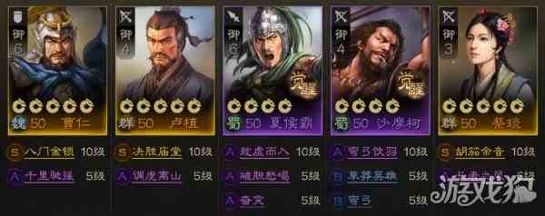 三国志战棋版蔡琰阵容搭配指南-核心打法分享