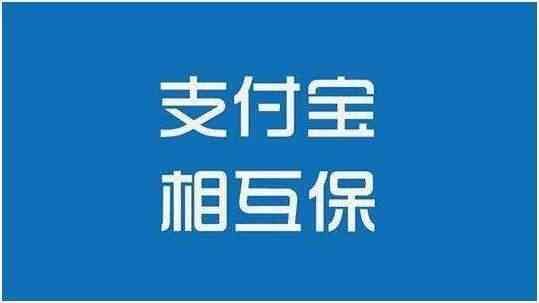 《支付宝》相互宝性价比解析