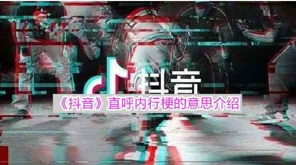 《抖音》直呼内行梗的意思介绍