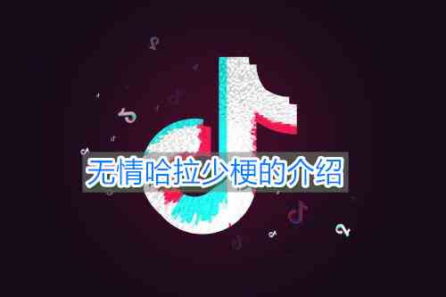 《抖音》无情哈拉少梗的介绍