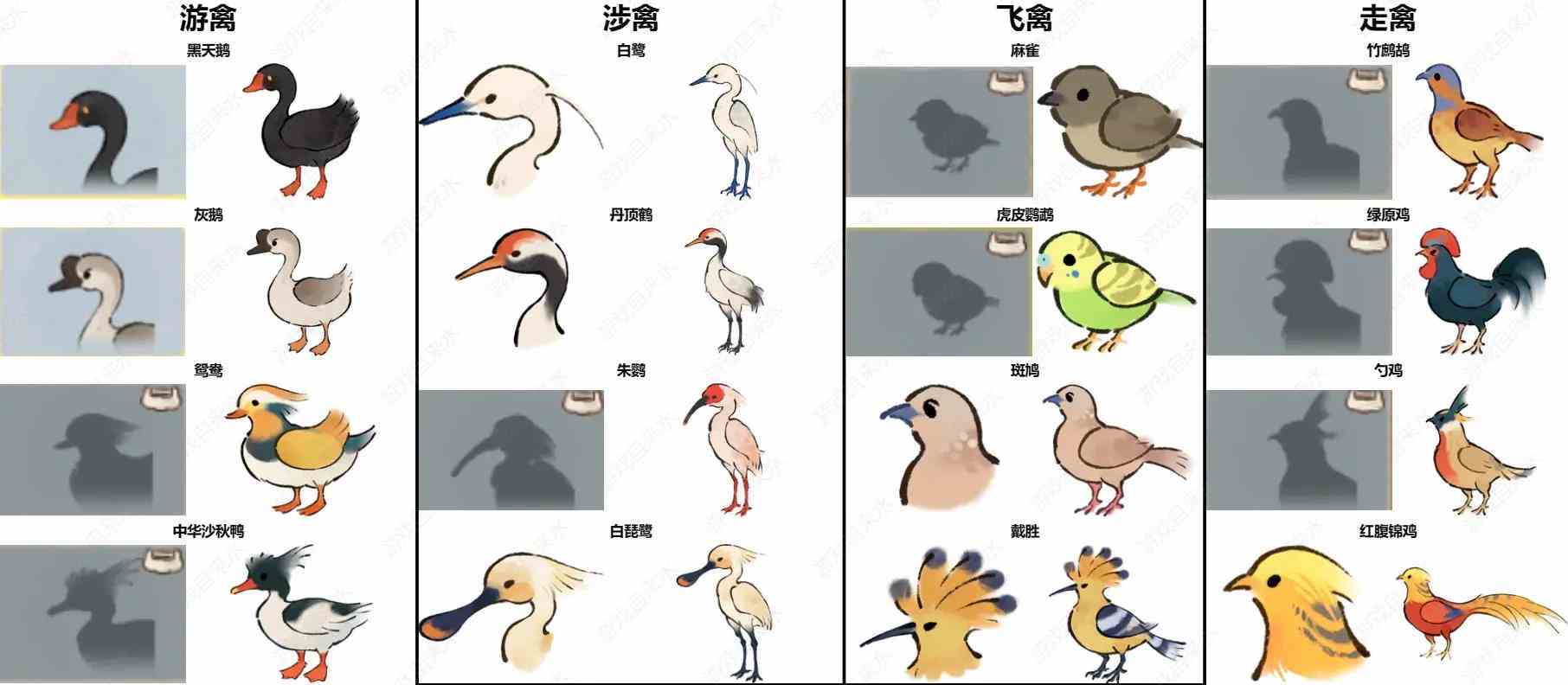 《桃源深处有人家》鸟类辨别攻略