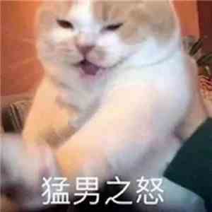 《抖音》猛男之怒表情包分享