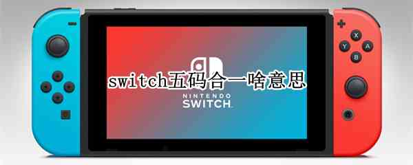 switch五码合一啥意思