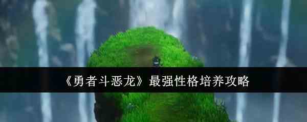 勇者斗恶龙性格培养秘籍-打造最强角色攻略