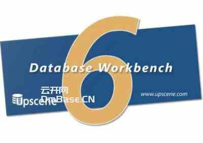 Database Workbench Pro(数据库开发软件)下载v6.5.2.628 附激活补丁