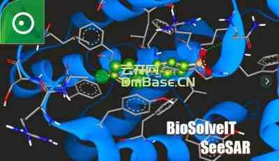 BioSolveIT SeeSAR免费下载(化合物分析软件)V13.1.1 附激活补丁