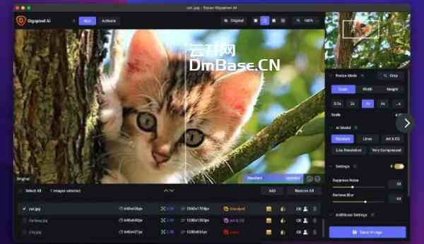Topaz Gigapixel AI解锁版V7.1.0 MacOS版AI修图软件