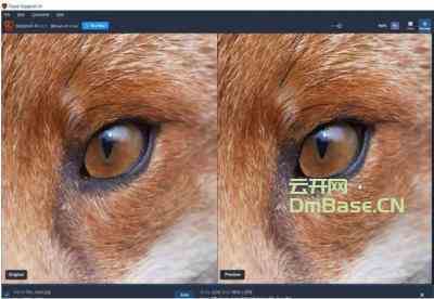 Topaz Gigapixel AI激活版(AI图片放大软件)v7.3.2 附激活补丁