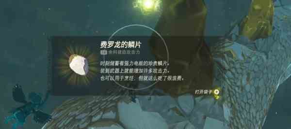 《塞尔达传说王国之泪》新手刷雷龙材料流程-如何刷雷龙