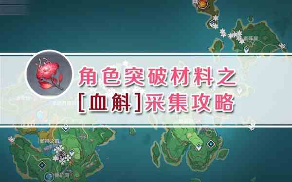 《原神》九条裟罗突破材料血斛采集路线