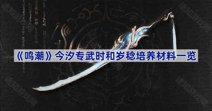 《鸣潮》今汐专武时和岁稔培养材料一览