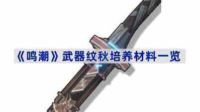 《鸣潮》武器纹秋培养材料一览