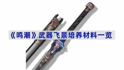 《鸣潮》武器飞景培养材料一览