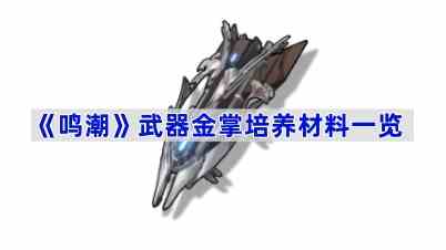 《鸣潮》武器金掌培养材料一览