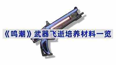 《鸣潮》武器飞逝培养材料一览