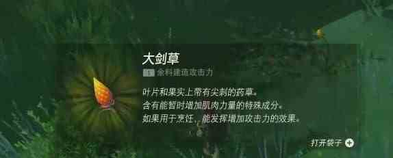 塞尔达传说王国之泪大剑草位置在哪