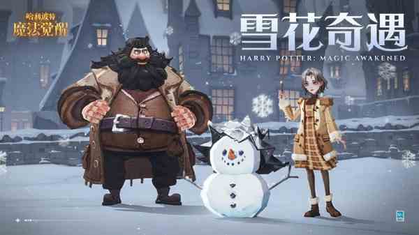 哈利波特魔法觉醒雪花奇遇任务怎么做