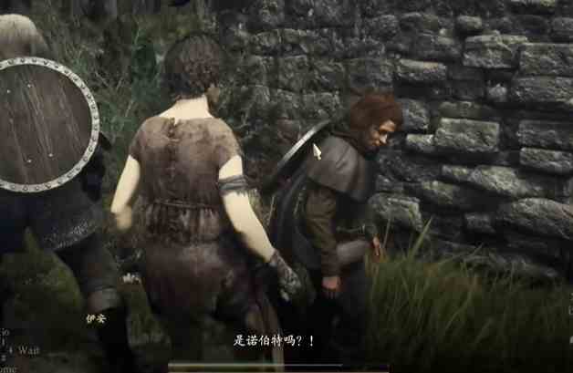 龙之信条2支线任务兄弟的努力怎么完成 龙之信条2dragonsdogma2支线兄弟的努力任务攻略图3