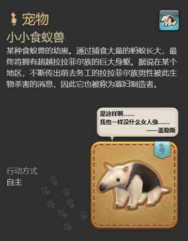 ff14小小食蚁兽宠物获得方法图3