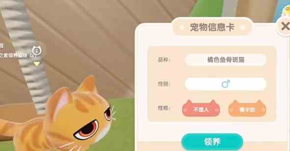 心动小镇怎么养猫 养猫攻略一览图1