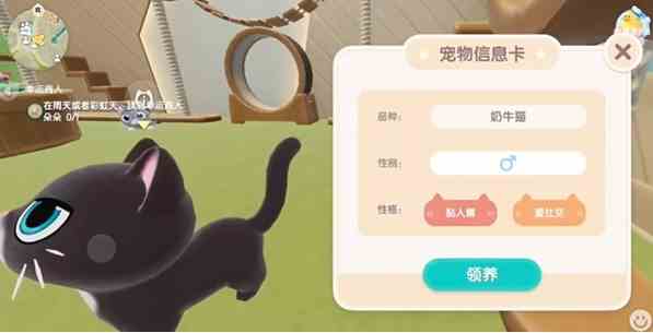 心动小镇怎么养猫 养猫攻略一览图2