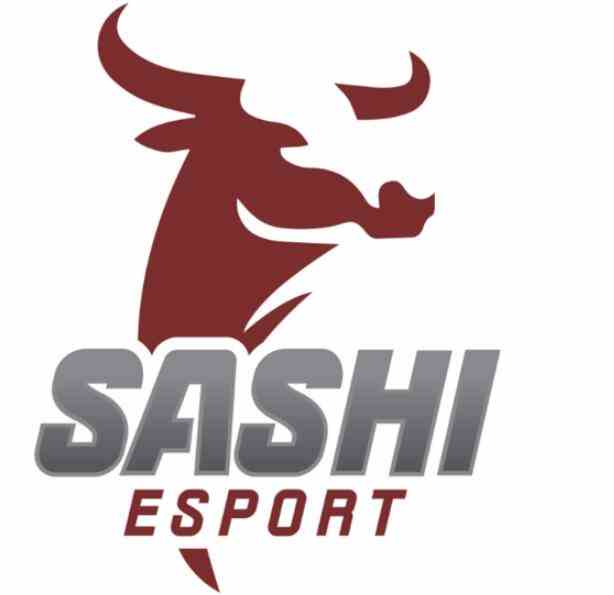 cs2沙特电竞世界杯Sashi阵容介绍图2