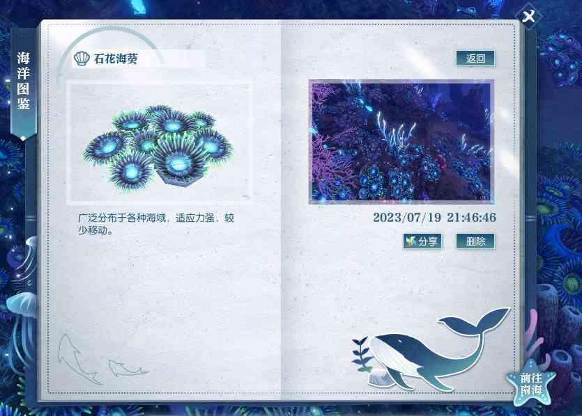 逆水寒石花葵海位置介绍图1