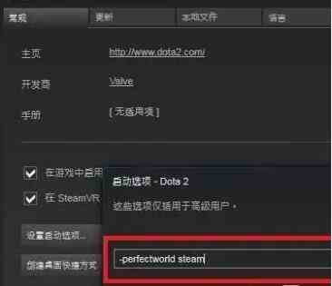 dota2国服启动项设置方法介绍图4