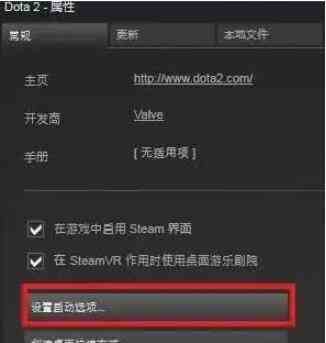 dota2国服启动项设置方法介绍图3