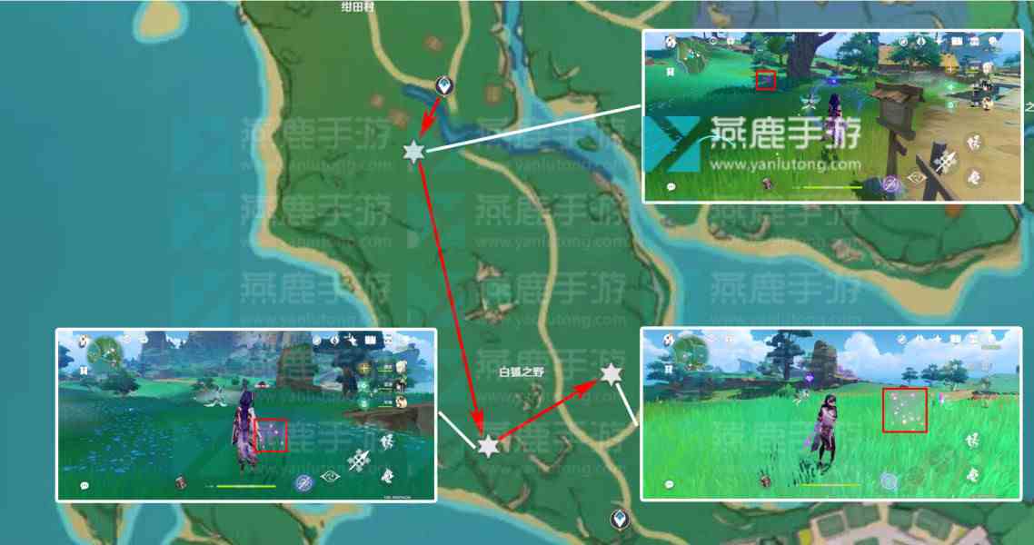 绯樱绣球采集路线图图13