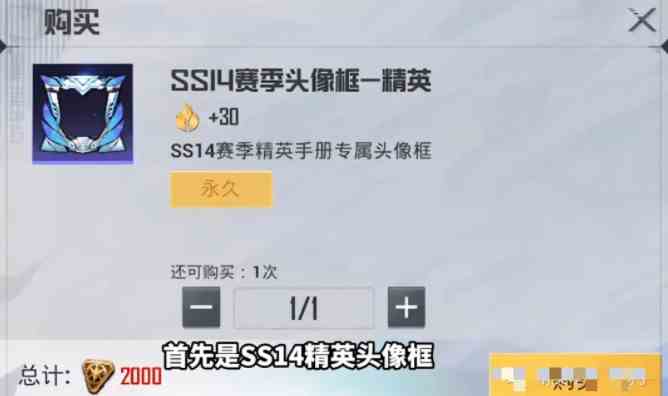 和平精英ss14赛季手册套装是什么样的图3